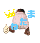 Welcome to Shakir（個別スタンプ：32）