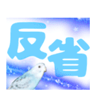 実写インコのデカ文字（個別スタンプ：2）