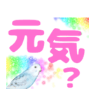 実写インコのデカ文字（個別スタンプ：3）