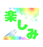 実写インコのデカ文字（個別スタンプ：8）