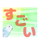 実写インコのデカ文字（個別スタンプ：19）