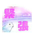 実写インコのデカ文字（個別スタンプ：21）