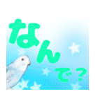 実写インコのデカ文字（個別スタンプ：23）