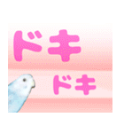 実写インコのデカ文字（個別スタンプ：26）