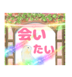 実写インコのデカ文字（個別スタンプ：33）