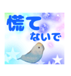 実写インコのデカ文字（個別スタンプ：35）