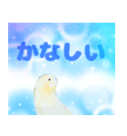 実写インコのデカ文字（個別スタンプ：37）