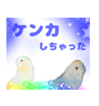 実写インコのデカ文字（個別スタンプ：38）