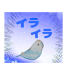 実写インコのデカ文字（個別スタンプ：39）