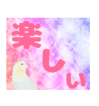 実写インコのデカ文字（個別スタンプ：40）