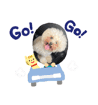 僕チャーリー（個別スタンプ：1）