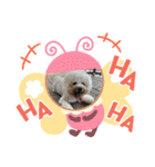 僕チャーリー（個別スタンプ：5）