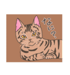 やわらか言葉の猫スタンプ（個別スタンプ：19）