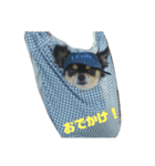 癒しのレンくん（個別スタンプ：2）