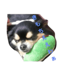癒しのレンくん（個別スタンプ：3）