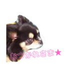 癒しのレンくん（個別スタンプ：7）