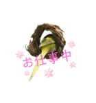 らんまるすたんぷ5（個別スタンプ：4）