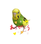 らんまるすたんぷ5（個別スタンプ：13）