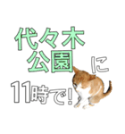 【待ち合わせ】東京ネコ 1.1（個別スタンプ：9）