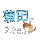 【待ち合わせ】東京ネコ 1.1（個別スタンプ：20）