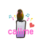 Love Bird samba ＜ボタンインコ＞❺（個別スタンプ：1）