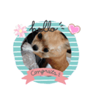 さくらクッキースタンプ（個別スタンプ：3）