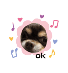 タロチョコ1（個別スタンプ：2）