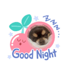 タロチョコ1（個別スタンプ：8）