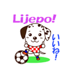 クロアチアのサッカー犬（個別スタンプ：14）