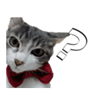のんびりウチの猫2（個別スタンプ：2）