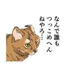 大阪の猫達 茶白/サビ猫/牛猫/キジ猫/黒猫（個別スタンプ：4）