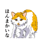 大阪の猫達 茶白/サビ猫/牛猫/キジ猫/黒猫（個別スタンプ：5）