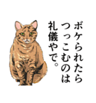 大阪の猫達 茶白/サビ猫/牛猫/キジ猫/黒猫（個別スタンプ：12）