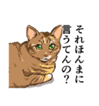 大阪の猫達 茶白/サビ猫/牛猫/キジ猫/黒猫（個別スタンプ：20）