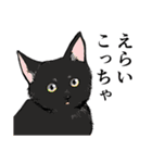 大阪の猫達 茶白/サビ猫/牛猫/キジ猫/黒猫（個別スタンプ：27）