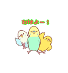 インコブラザーズ！（個別スタンプ：1）