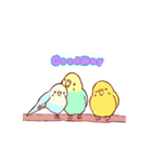 インコブラザーズ！（個別スタンプ：2）