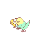インコブラザーズ！（個別スタンプ：4）