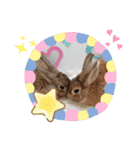 かおちゃんの宝物（個別スタンプ：3）