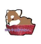 犬神家（個別スタンプ：3）