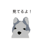 犬神家（個別スタンプ：4）