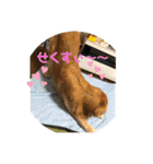 エルの叫び（個別スタンプ：22）