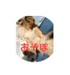 エルの叫び（個別スタンプ：33）