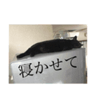 Kタンプズ①（個別スタンプ：2）
