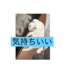 Kタンプズ①（個別スタンプ：3）