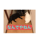 Kタンプズ①（個別スタンプ：5）