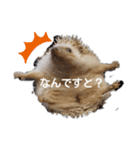 ハリネズミ物語 クウちゃん①（個別スタンプ：8）