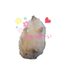 ハリネズミ物語 クウちゃん①（個別スタンプ：10）