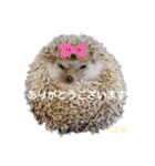 ハリネズミ物語 クウちゃん①（個別スタンプ：12）