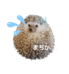 ハリネズミ物語 クウちゃん①（個別スタンプ：14）